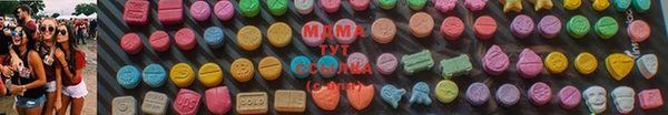 прущие грибы Сосновый Бор