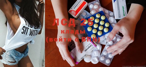 ГАЛЛЮЦИНОГЕННЫЕ ГРИБЫ Сосновоборск