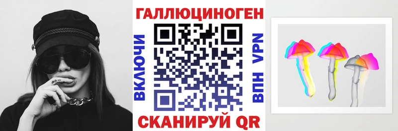 mega вход  Камешково  Галлюциногенные грибы Psilocybe 